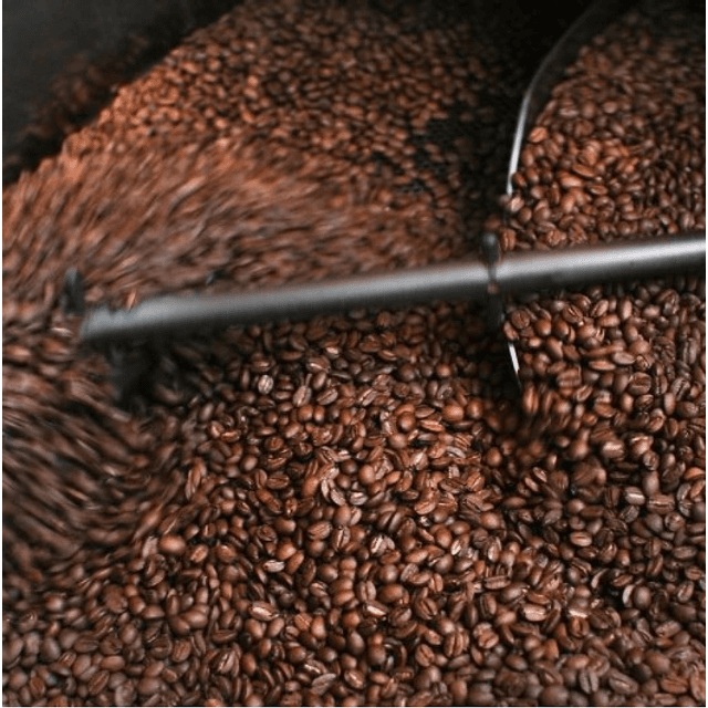 Café tostado en grano 100% Arabica x Kg